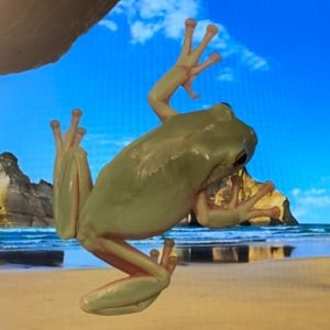 Meet your Posher, Michelle